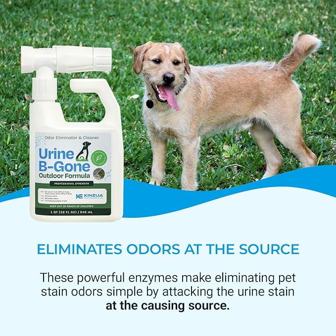 Urine B-Gone OD Professional Pet Urine Enzyme Cleaner, Pet Yard Odor Eliminator for Artificial Grass, Concrete & More, 32 fl oz