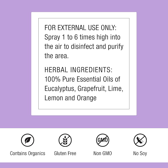 Dr. Schulze's Air Detox - Air Spray for Immune Support - Essential Oils - Uplifting, Calm Atmosphere - Fresh Home - Organic Herbal Formula - 4 oz