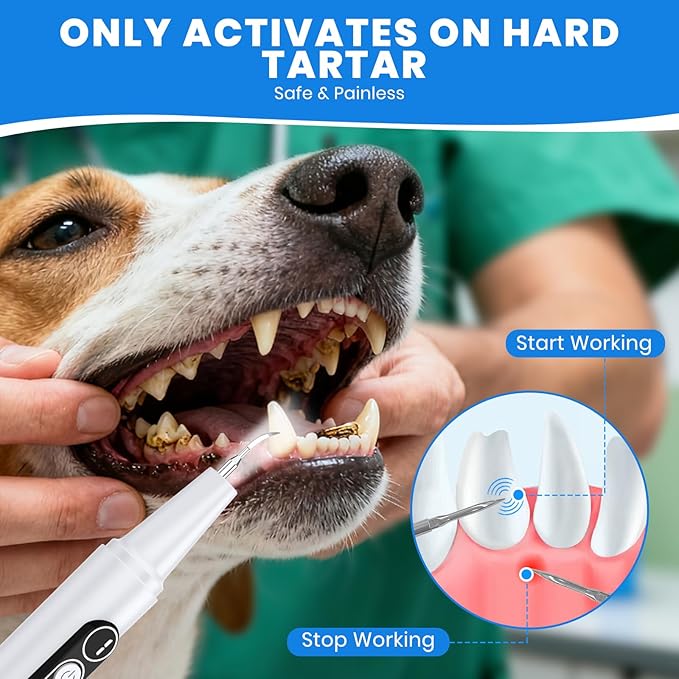 Dog Plaque Remover for Teeth, Pet Ultrasonic Cleaner with LED Light & Stand, 5 Modes, Pet Teeth Cleaning kit, Suitable for Dogs and Cats