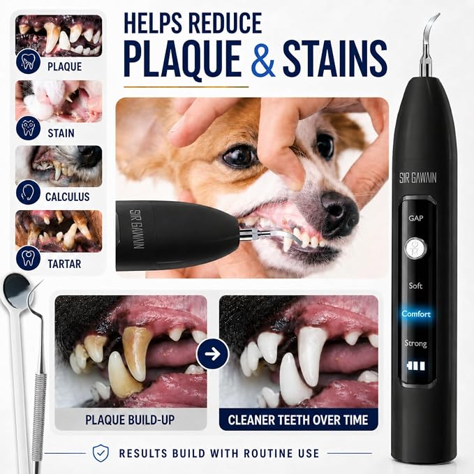 SIRGAWAIN Pet Ultrasonic Dental Cleaner — Plaque, Tartar & Stains Remover, 4 Tips, 3 Modes, LED, Contact-Activated & Smart Touch Protection, Complete Cleaning Kit for Dogs & Cats (Black)