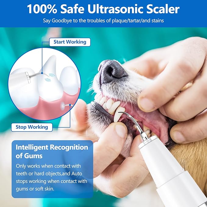 Ni-SHEN Dog Plaque Remover for Teeth，Pet Ultrasonic Tooth Cleaner，Teeth Cleaning Kit -Tartar Remover for Teeth Stains for Dogs and Cats (White)