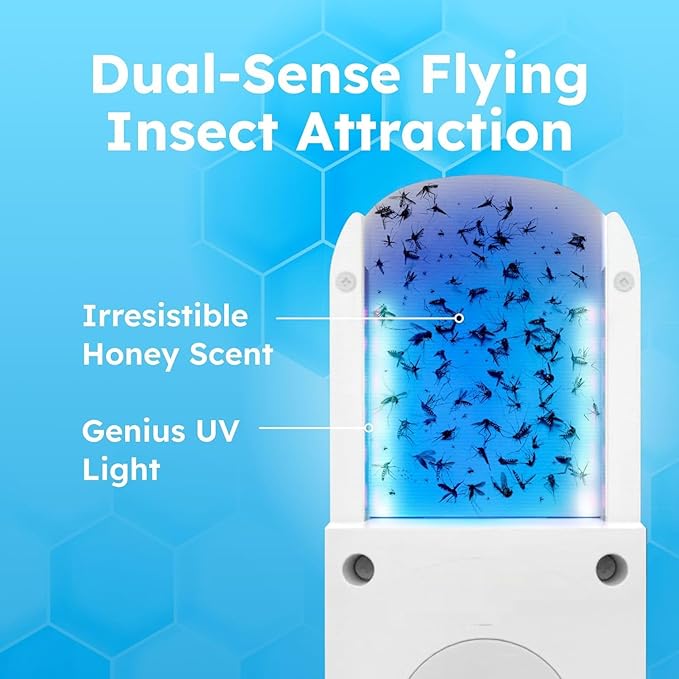 BugMD No Buzz Zone Fruit Fly Traps for Indoors with Honey Scent Bait & UV Light – Gnat Traps for House Indoor, Plug in Fly Trap Indoor, Bug Zapper Alternative, Mosquito Trap for Home (3-Pack)