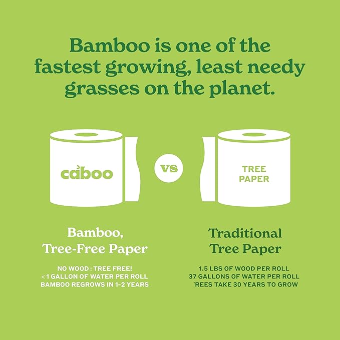 Caboo Tree Free Paper Towels, 6 Rolls, Plastic Free & Eco Friendly, Earth Friendly, Sustainable Kitchen Paper Towels with Strong 2 Ply Sheets