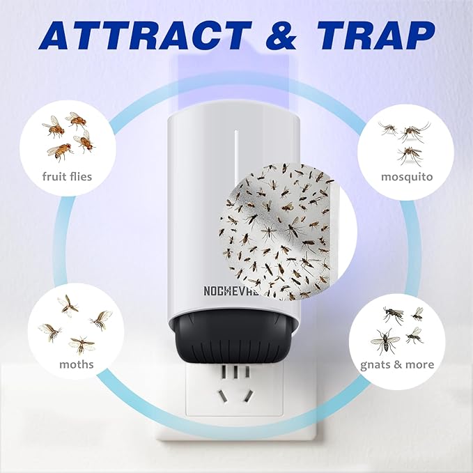 2 Plug-in Flying Insect Traps & 10 Refills, Effective Fly Trap for Indoor Use, Small Bug Catcher with Purple Light for Fruit Flies, Gnats, Moths and Mosquitoes
