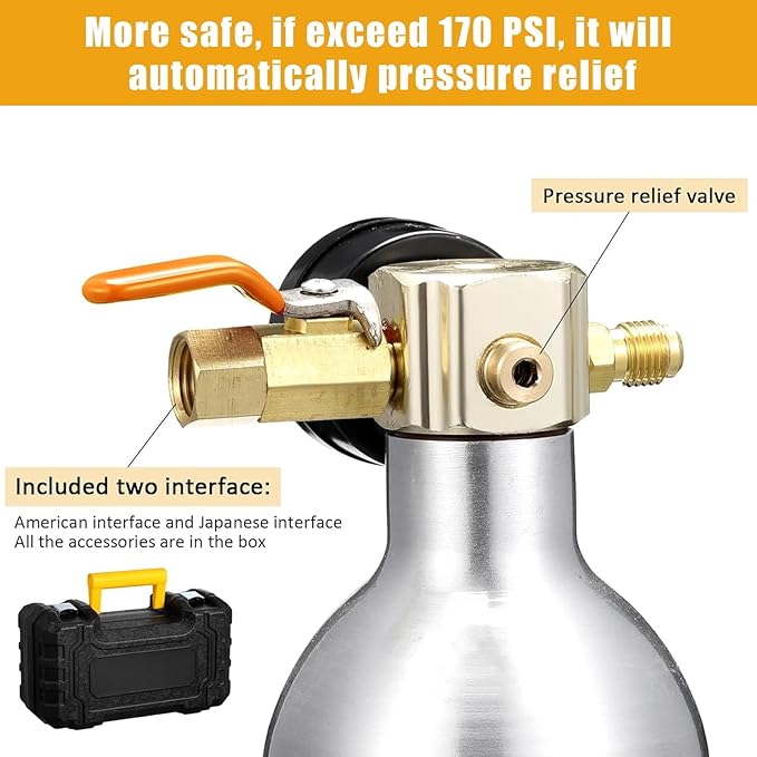 Rossesay AC Flush Kit Air Conditioner System Flush Canister Kit AC Drain Line Cleaner Tool Conditioning Pipeline Cleaning Tool Set with Gauge, Air Fittings and Hose for Car Conditioner Pipe (Novel)