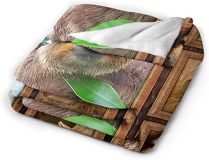 Tijuboni Sloth Throw Blanket Sloth Gifts for Girls Boys Women Men Kids Adults Soft Flannel Fleece Blanket for Couch Sofa Bed Home Decor 60"x80"