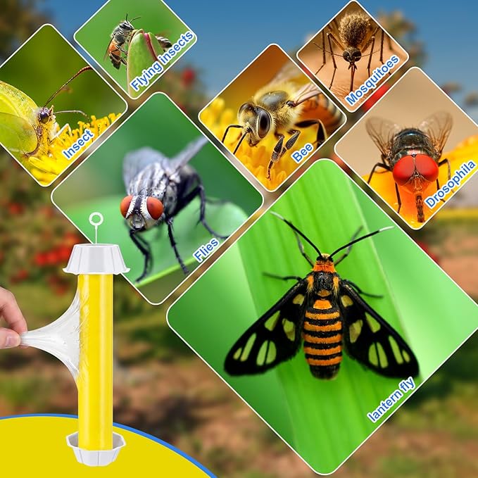 Qualirey 12 Pcs Fly Traps for Indoor Outdoor Hanging Fruit Fly Stick Trap Sticky Mosquito for Home Insect 10 x 2.5 Inches (Bright,Yellow)