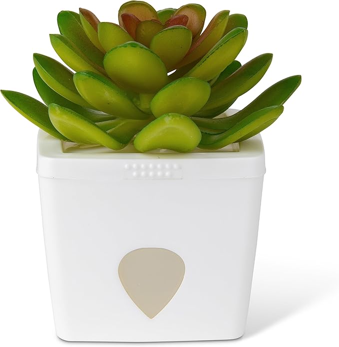 ZendoZones Fruit Fly Traps, 12 Assorted Designs with White Base – Effective Indoor Fruit Fly Control – Eco-Friendly, Easy-to-Use Trapping Solution