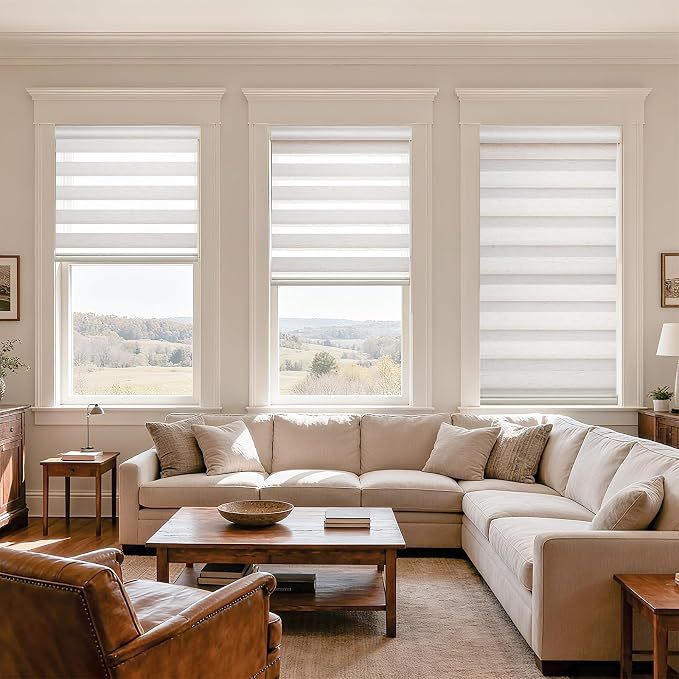 MYshade Cordless Zebra Blinds with Free-Stop Function - Dual Layer Light Filtering & Privacy Sheer Shades for Day and Night - Easy Install Window Shades for Home, Living Room, 35.5" W*72" H,Beige