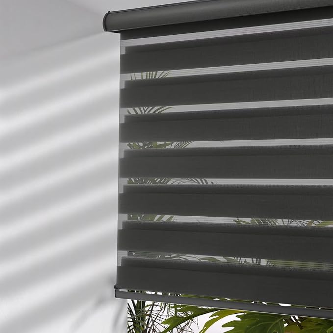 MYshade Cordless Zebra Blinds with Free-Stop Function - Dual Layer Light Filtering & Privacy Sheer Shades for Day and Night - Easy Install Window Shades for Home, Living Room, 29" W x 64" H,Black