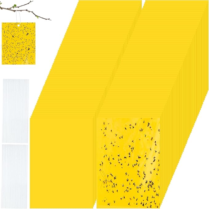 Qualirey 2.7 x 3.9 Inch Small Yellow Sticky Traps for Plant Double Sided Sticky Trap for Gnats with Twist Ties Fly Traps for Fruit Insect Fungus Bugs Indoor Outdoor (200 Pcs)