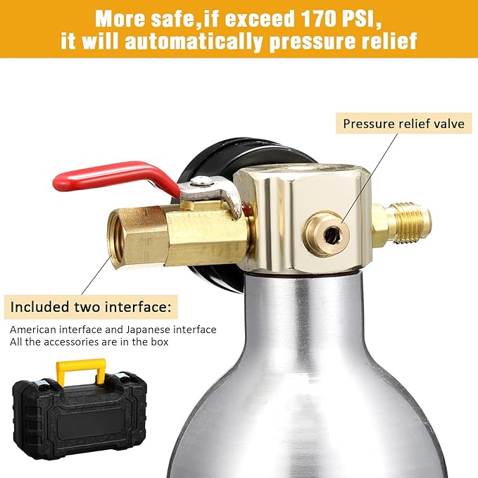 Rossesay AC Flush Kit Air Conditioner System Flush Canister Kit AC Drain Line Cleaner Tool Air Conditioning Pipeline Cleaning Tool Set with Gauge, Air Fittings and Hose for Car Air Conditioner Pipe