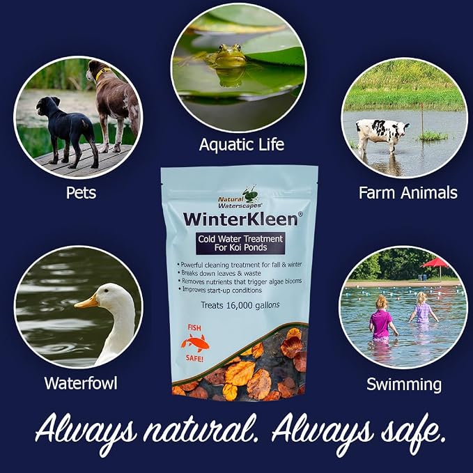 WinterKleen Fall & Winter Bacteria for Ponds | Koi Pond Winterizer, Leaf Digester, Natural Cleaner - Powerful Concentrated Enzymes and Microbes Clean Pond Water