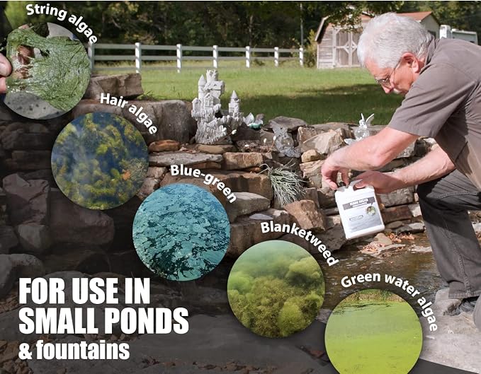 Bloom Buster Pond Algae Control - 64oz - Fast Acting Algaecide, Use in Fountains & Outdoor Ponds Containing Koi & Other Fish - EPA Registered