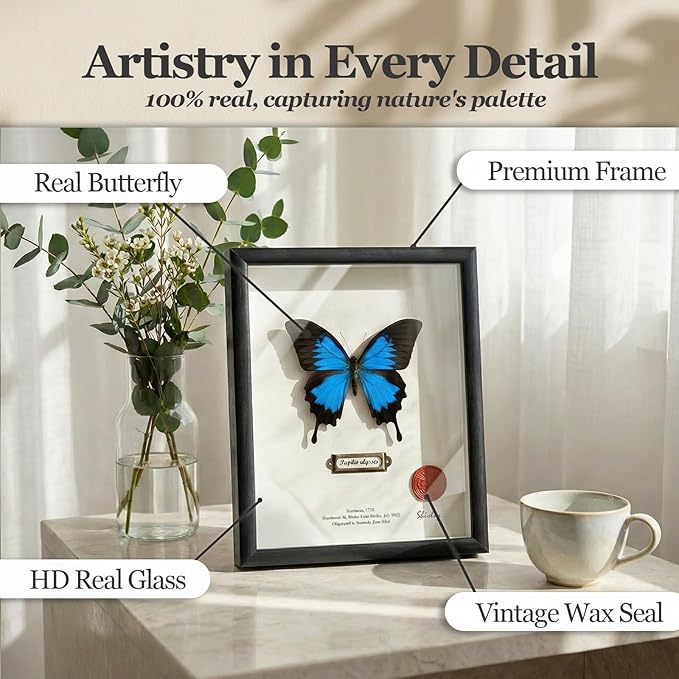 ArsVenciik Real Framed Butterfly Specimen - Preserved Papilio ulysses (Blue Emperor) - Electric Blue Taxidermy Shadow Box - Handmade Entomology Art & Gift for Nature Lovers