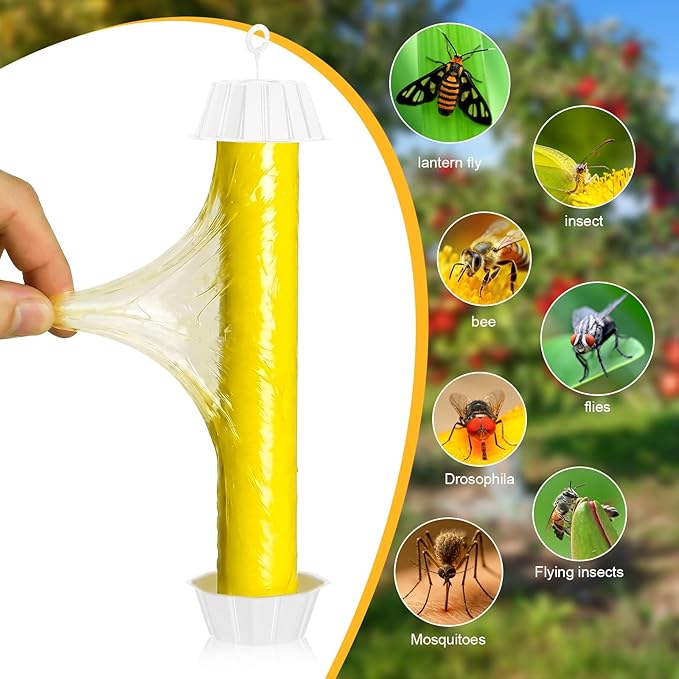 6 Pcs Fly Traps for Indoor Outdoor Hanging Fruit Fly Stick Trap Sticky Mosquito for Home Insect 10 x 2.5 Inches (Classic,Yellow and White)