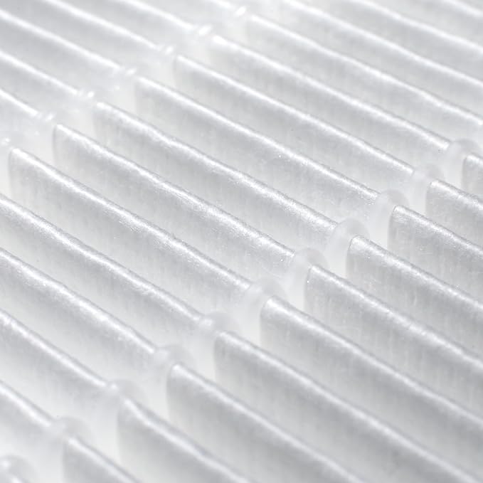 Winix Genuine Replacement Filter R for T810 Air Purifier