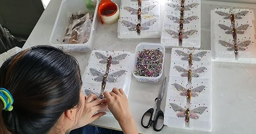 6 Real Cicada Beetle Specimens Collection Bug Mounted Dead Animal Preserved Entomology Taxidermy Oddity Scientific Lover Insect Nature Office Desk Art Artwork Display UM-10