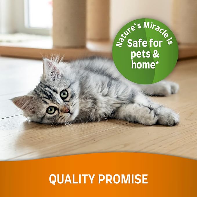 Nature's Miracle Just for Cats Oxy Stain and Odor Remover, 24 Fl Oz (Pack of 2)