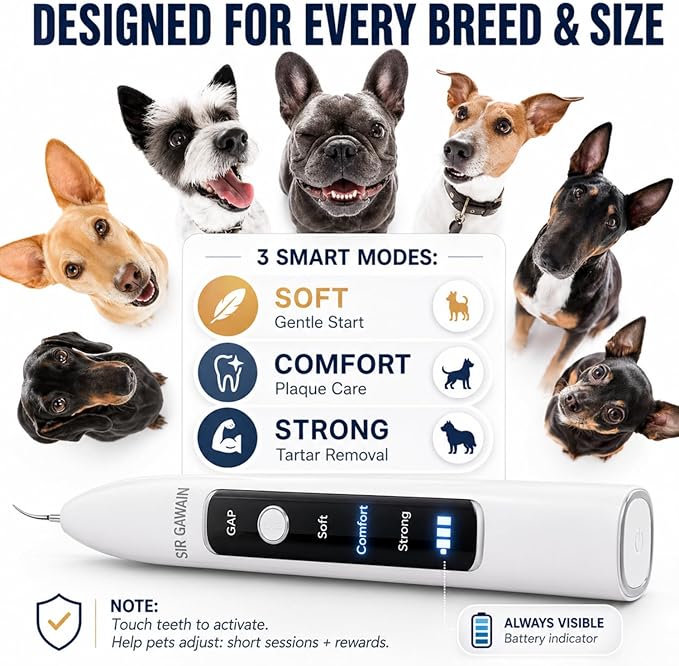 SIRGAWAIN Pet Ultrasonic Dental Cleaner — Plaque, Tartar & Stains Remover, 4 Tips, 3 Modes, LED, Contact-Activated & Smart Touch Protection, Complete Cleaning Kit for Dogs & Cats