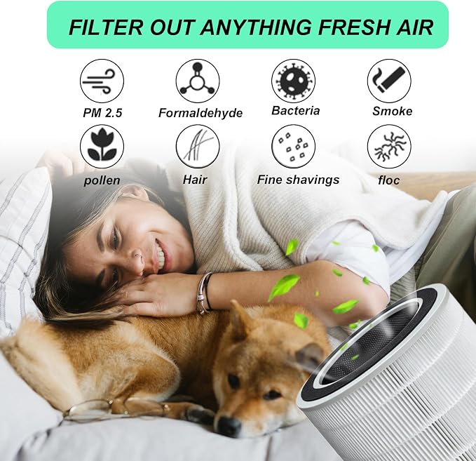 AP10 Replacement Filter Compatible with ‌Dreame Pet Air Purifier AP10, 2-in-1 H13 True HEPA Activated Carbon, 1Pack