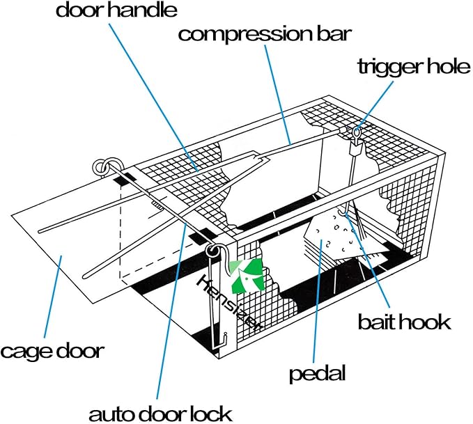 Kensizer 2-Pack Animal Humane Live Cage Trap that Work for Rat Mouse Chipmunk Mice Voles Hamsters and Other Small Rodents, Trampa para Ratones, Catch and Release