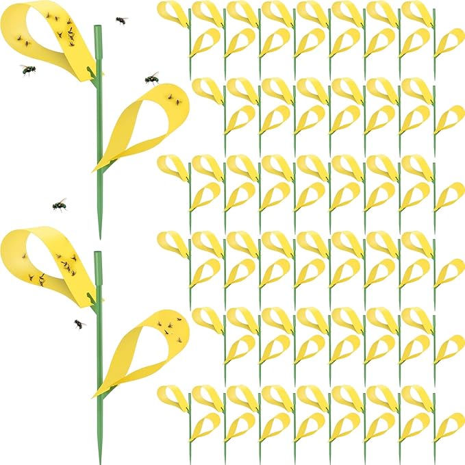 Qualirey 300 Pcs Sticky Houseplant Traps Fungus Gnat Fruit Fly Trap Sticky Houseplant Stakes Insect for Outdoor Garden Aphids, Whiteflies, Fruit Flies, Fungus Gnats, and Other Insects (Yellow)