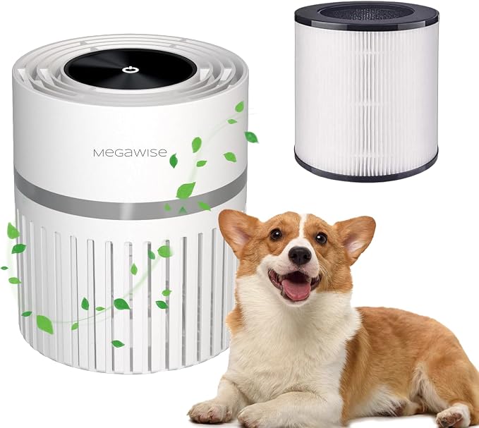 MEGAWISE HEPA Air Purifier for Home & Office, Compact Design with 1 Replacement Filter, Quiet Operation, Suitable for Daily Air Refreshing (White)