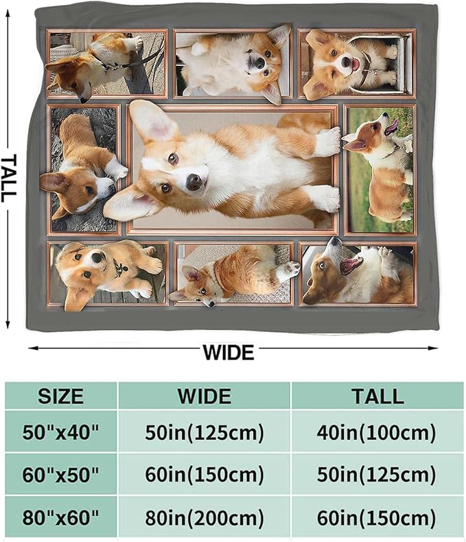 Tijuboni Corgi Throw Blanket Dog Gifts for Girls Boys Women Men Kids Adults Soft Flannel Fleece Blanket for Couch Sofa Bed Home Decor 60"x80"
