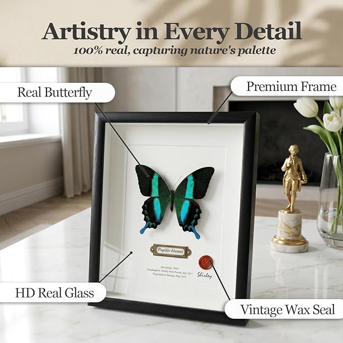 ArsVenciik Real Framed Butterfly Specimen - Handmade Preserved Papilio blumei (Green Peacock Swallowtail) Taxidermy - 3D Shadow Box Wall Art & Unique Nature Lover Gift for Home Decor