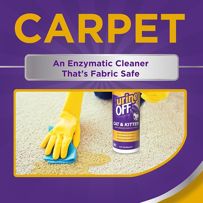 Urine Off Kitten & Cat Pet Stain Remover | Freshly Scented Carpet Cleaner | Bio Enzymatic Stain & Urine Odor Eliminator | Pet Safe Cleaner | 32 oz.