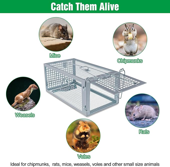 4 Packs Humane Rat Trap Outdoor, Wanqueen Humane Mouse Traps Indoor for Home, Small Rodent Chipmunk Squirrel Trap and Other Live Animal Cage Catch and Release