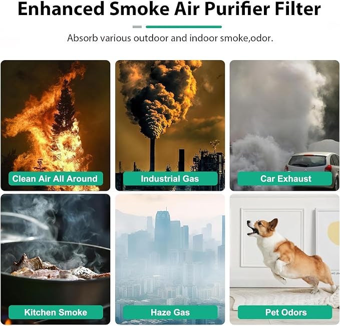 Core 300 Pet Care Replacement Filter for LEVOIT Core 300/300-P / 300S-P / 300S VortexAir Air Purifier,300 Pet Aller-gy Air Filter, 3 in 1 H13 True HEPA Filter,300-RF-PA, 2Pack
