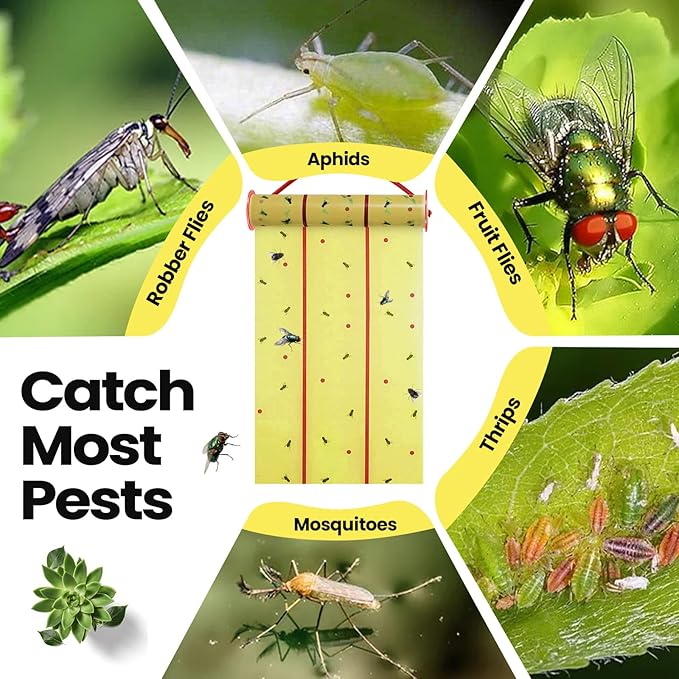 Qualirey Giant Sticky Fly Traps, Fly Strips for Indoor Outdoor Hanging Flying Tapes Non Toxic Ribbon Fruit Gnat Killer for Mosquito Plants House Horse Stable(30 ft,Fluorescent Green,15 Pcs)