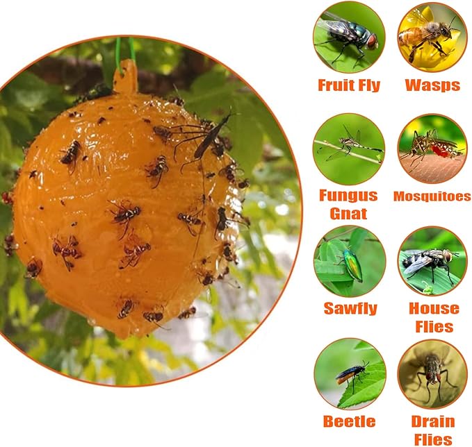 Indoor Fly Traps Ball with Base and Hanging Fly Trap Outdoor