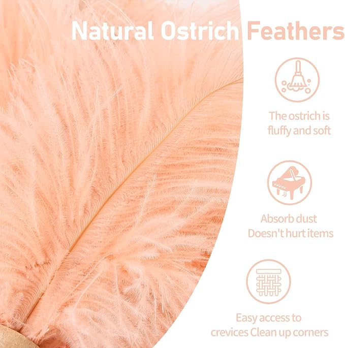 Ostrich Feather Duster 12 Inch Handheld Duster Supplies, Wooden Handle Feather Duster for Cleaning Keyboard Home Car Office (Champagne 5Pcs)