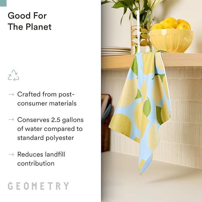 GEOMETRY Spring Kitchen Towels - Quick Dry Microfiber Cloth Spring & Summer Dish Towels for Kitchen Drying - Premium Quick Dry Towel - Daisy Dream, 18" x 30" - 2-Pack