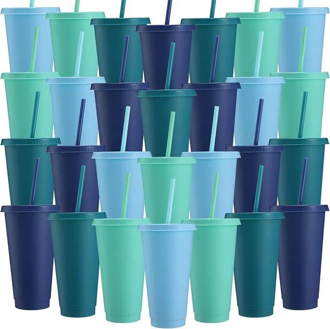 Honeydak 30 Pack Tumbler with Straw and Lid Bulk Cups for Gifts Water Bottle Iced Coffee Travel Mug Cup Reusable Plastic Tumblers for Party Birthdays 24-27 oz (Modern Color)