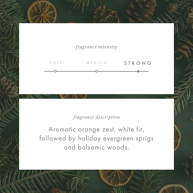 ScentAir Whisper Home Monthly Plug-in Refill, Fragrance Cartridge for Home and Office, Pine Forest