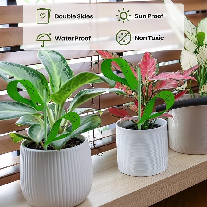 Qualirey 300 Pcs Sticky Houseplant Traps Fungus Gnat Fruit Fly Trap Sticky Houseplant Stakes Insect for Outdoor Garden Aphids, Whiteflies, Fruit Flies, Fungus Gnats, and Other Insects (Green)