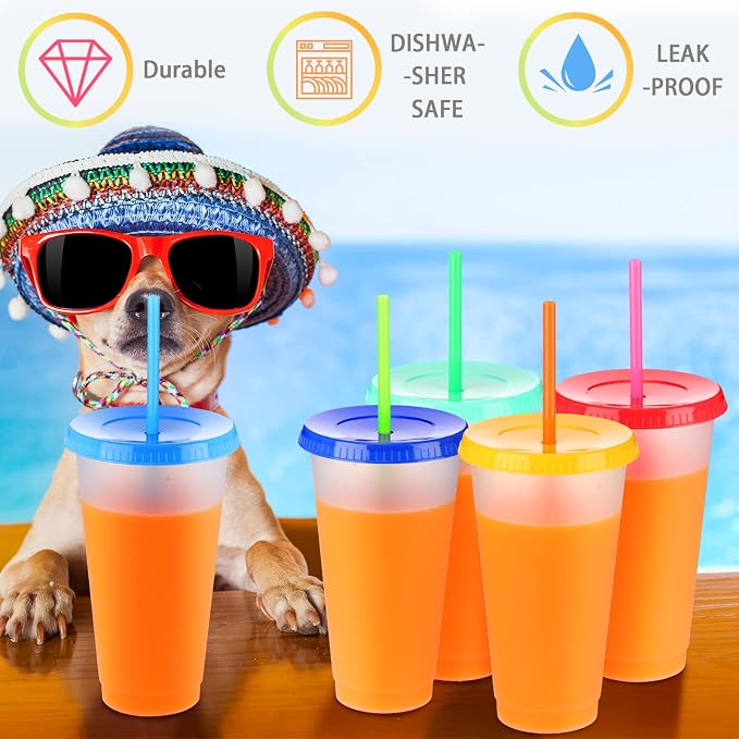 Honeydak 60 Pack Tumbler with Straw and Lid Bulk Cups for Gifts Water Bottle Iced Coffee Travel Mug Cup Reusable Plastic Tumblers for Party Birthdays 24-27 oz (Stylish Color)