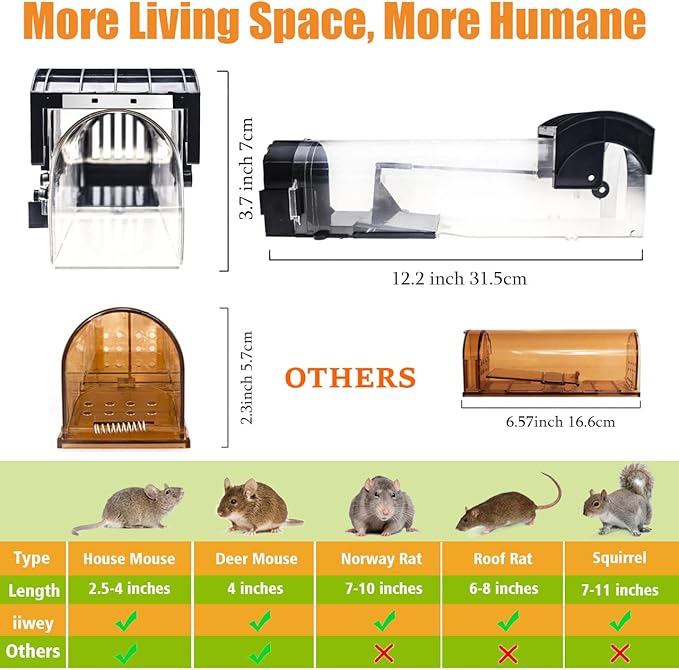 Humane Mouse Trap