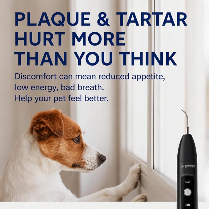 SIRGAWAIN Pet Ultrasonic Dental Cleaner — Plaque, Tartar & Stains Remover, 4 Tips, 3 Modes, LED, Contact-Activated & Smart Touch Protection, Complete Cleaning Kit for Dogs & Cats (Black)
