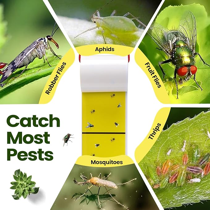 Qualirey Giant Sticky Fly Traps, Fly Strips for Indoor Outdoor Hanging Flying Tapes Non Toxic Ribbon Fruit Gnat Killer for Mosquito Plants House Horse Stable(23 ft,Yellow,30 Pcs)