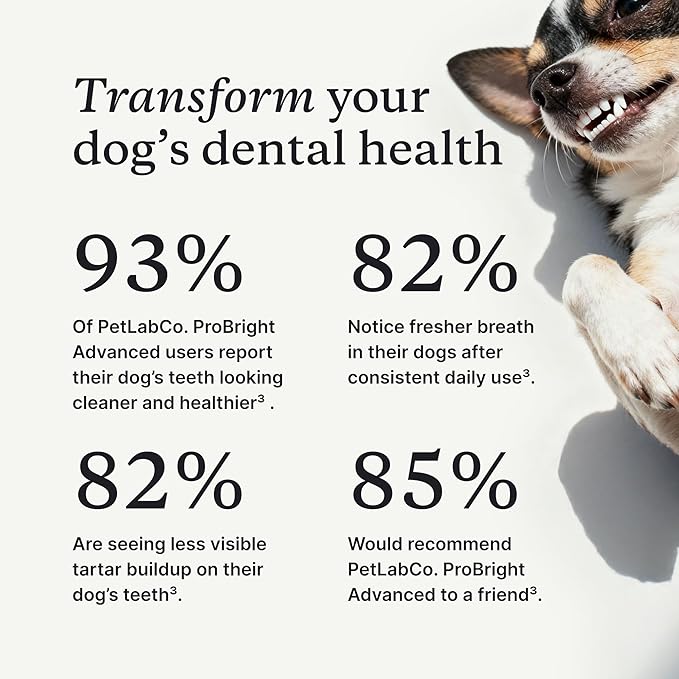 PetLab Co. ProBright Advanced Dental Powder - Dog Breath Freshener - Teeth Cleaning Made Easy – Targets Tartar & Bad Breath - Packaging May Vary - Formulated for Extra Small Dogs