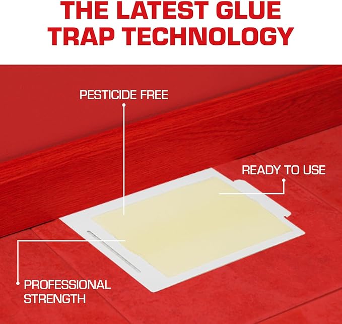 Tomcat Glue Boards with Eugenol — Enhanced Stickiness for Mice, Cockroaches & Insects, Flat or Covered Use, Ready-To-Use, 4 Traps