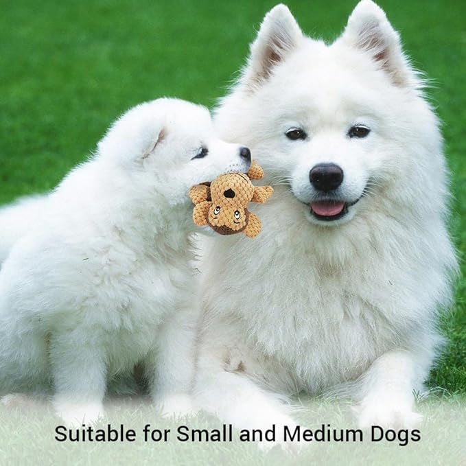 Raffaelo Wool Ball and Raffaelo Dog Toy Plush Squeaking Dog Toy Set