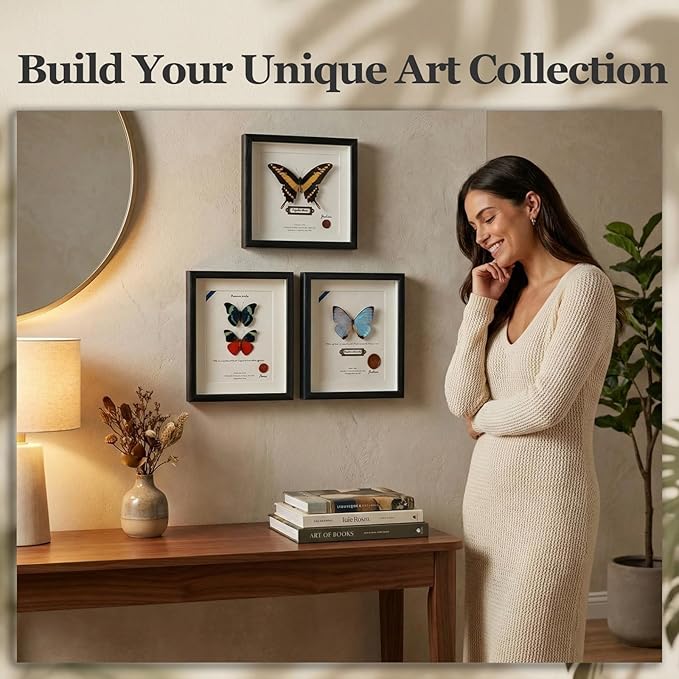 ArsVenciik Real Framed Butterfly Specimen - Preserved Papilio thoas (King Swallowtail) Taxidermy - Yellow & Black Square Shadow Box - Handmade Wall Art & Unique Gift for Home or Office Decor