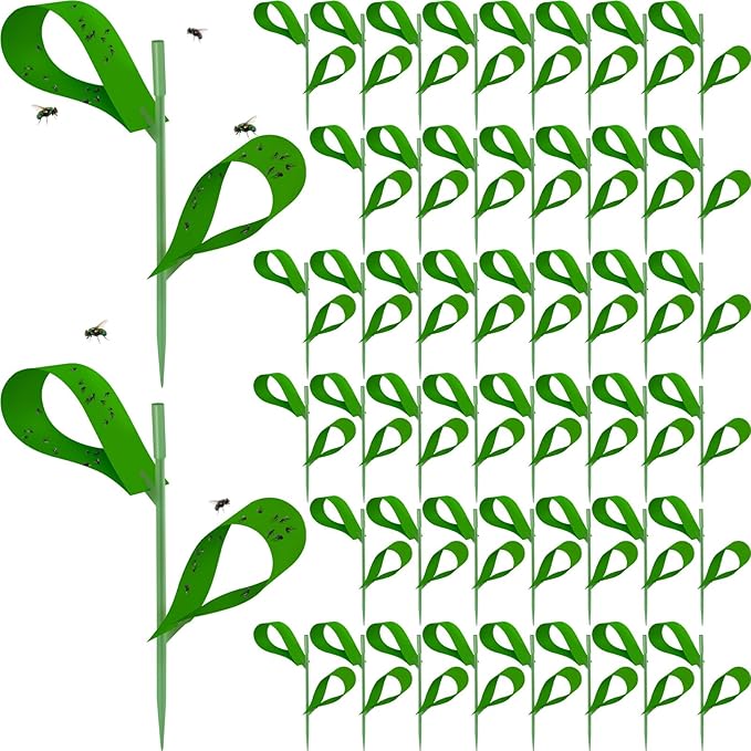 Qualirey 300 Pcs Sticky Houseplant Traps Fungus Gnat Fruit Fly Trap Sticky Houseplant Stakes Insect for Outdoor Garden Aphids, Whiteflies, Fruit Flies, Fungus Gnats, and Other Insects (Green)