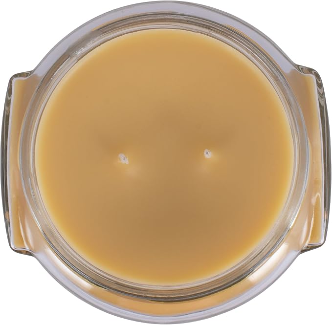 Tyler Classic White 2-Wick 11 Ounce Glass Aromatherapy Scented Jar Candle Pack of 2, Fleur De Lis